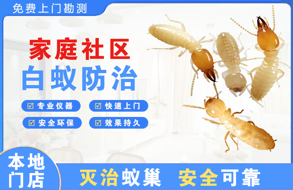 晋宁家庭社区白蚁防治