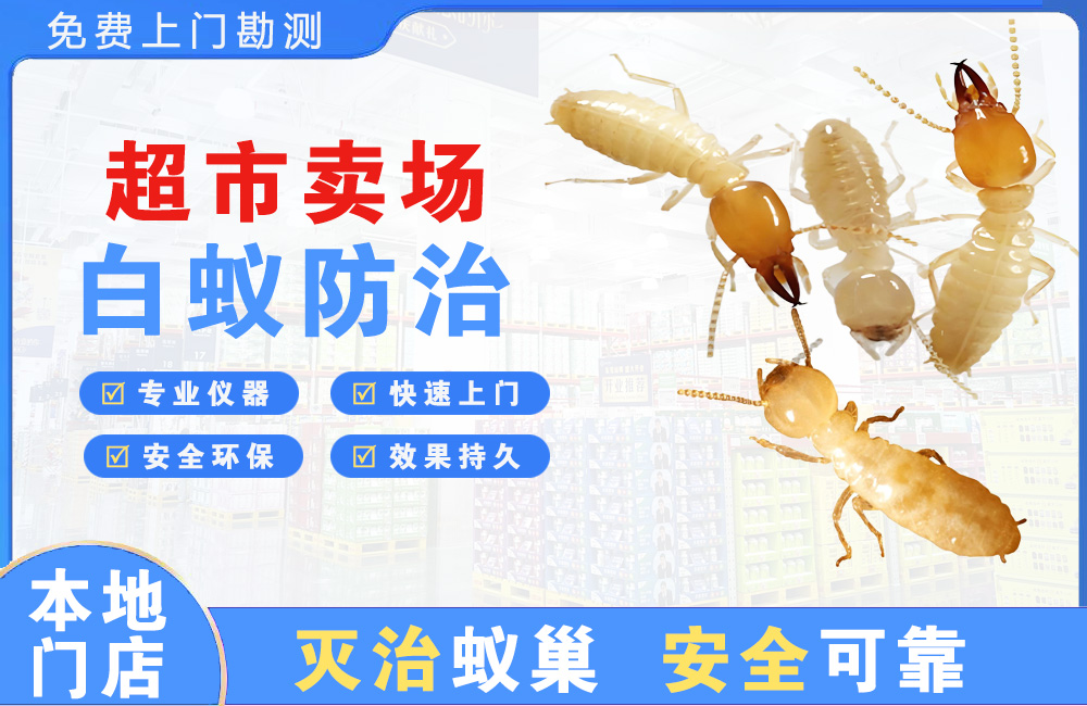 晋宁超市卖场白蚁防治