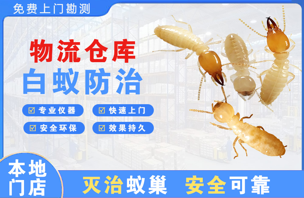 晋宁物流仓库白蚁防治