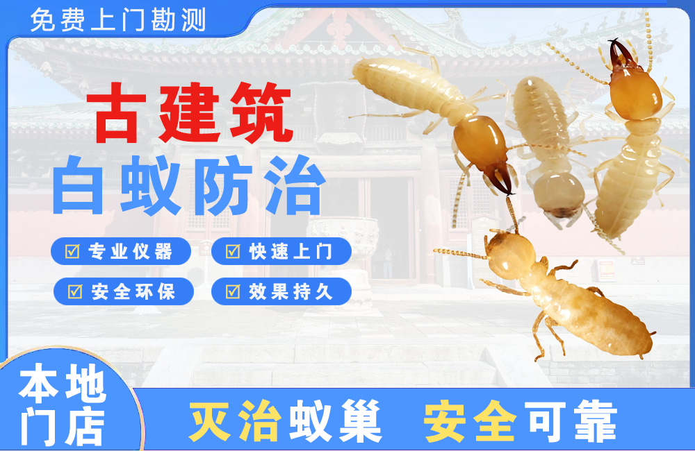 晋宁古建筑白蚁防治