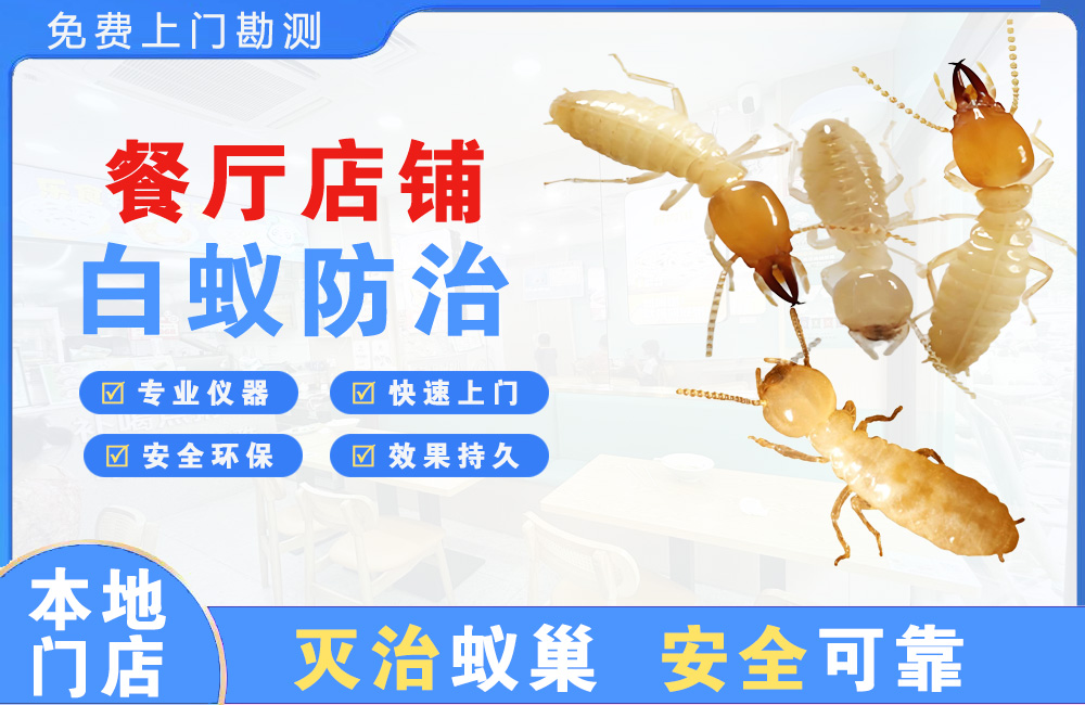 晋宁餐厅店铺白蚁防治